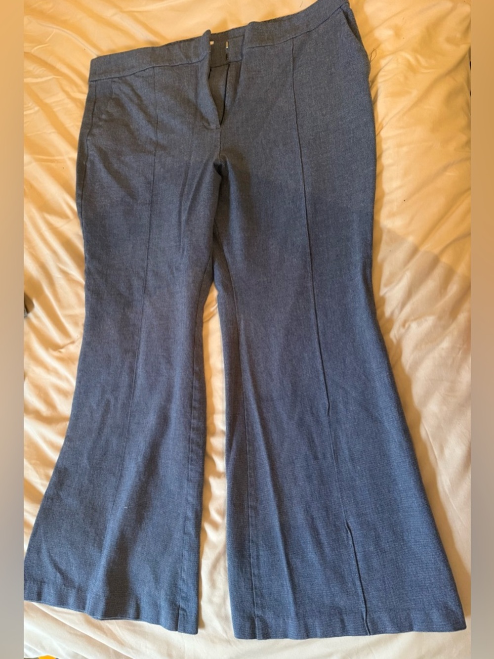LOFT Women's Flare pants